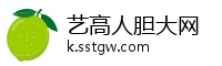 艺高人胆大网